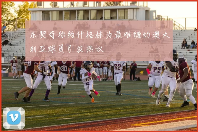 东契奇称约什格林为最难缠的澳大利亚球员引发热议